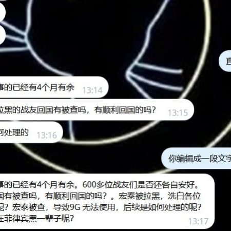 宏泰被查导致9G 无法使用，大家是如何处理的