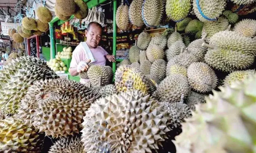 菲律宾飘了？5.4万吨榴莲销往中国却无人问津